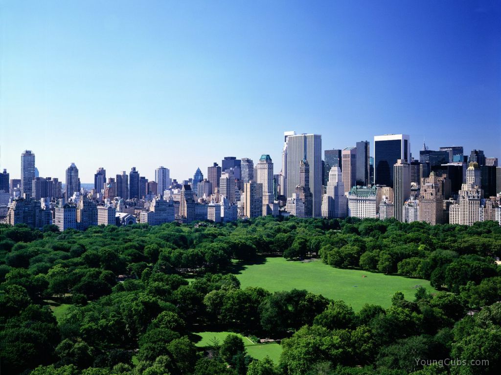 Summer in Manhattan, New York